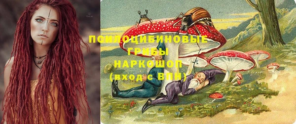 крисы Михайлов
