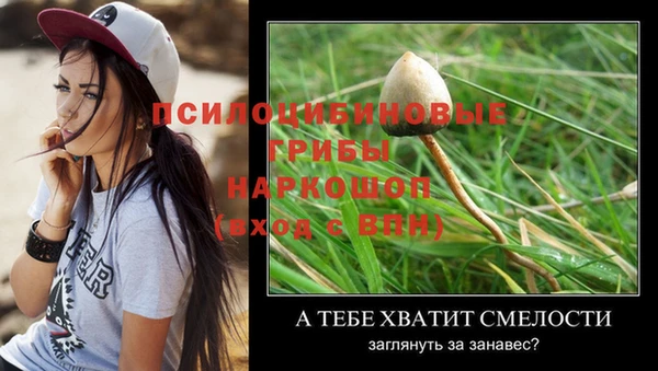 круглые Михайловск