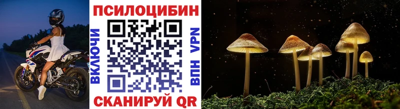 Купить закладки  Эртиль  Галлюциногенные грибы ЛСД 